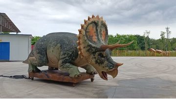 Lifelike Animatronic Triceratops