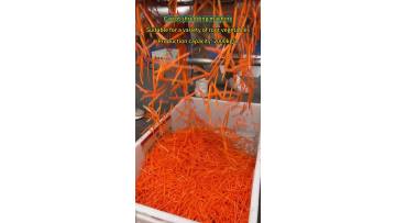 Carrot shredding machine Potato shredder