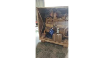 SD22 Cummins engine NT855C280S10