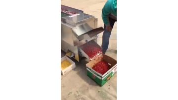 chili cutting machine