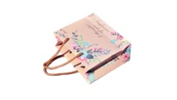 Custom Brown Craft Kraft Shopping Paper Bag with Handle Offset Printing Shoes & Clothing1