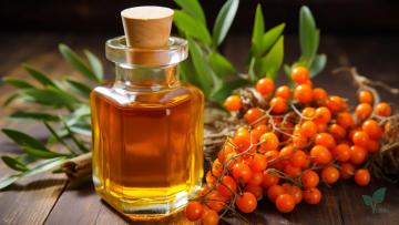 Seabuckthorn fruit oil