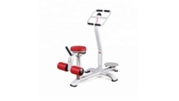 seated waist twister exercise machine