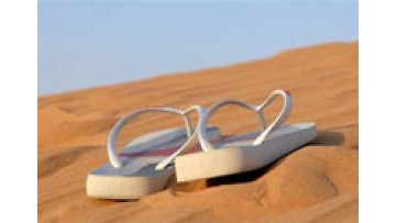 Summer Beach Flip Flops Will-trade WT-FFV001