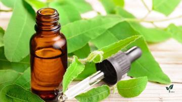 Plant Oil