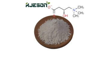 l carnitine/acetyl l carnitine