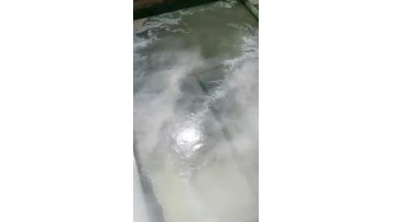 Air Releaser video 