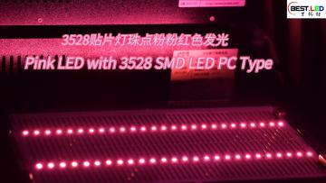 Pink LED with 3528 SMD LED PC Type