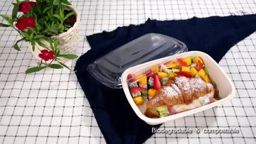 Sugarcane Pulp Box