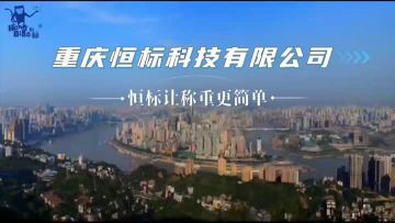 Chongqing Hengbiao Technology Co., Ltd.