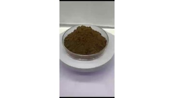 Factory Supplier High Quality Red Ginseng Root Extract Red Ginseng Extract 80% Ginsenoside1