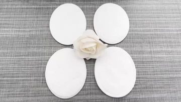Oval cotton pads