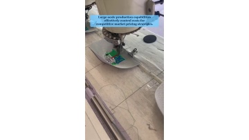 Video 31
