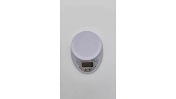 b05 food scale