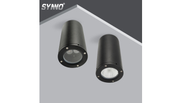 Multi style led lighting for downlight and wall light