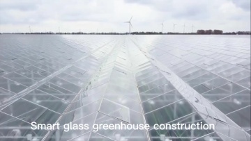 Agricultural Multi-span Greenhouse /Plastic Film Greenhouse for vegetables and fruit1