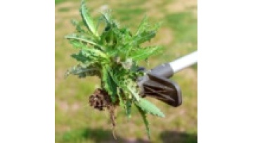 Buy-Wish Upgraded 5 Claws Metal Garden Weeder Tool1