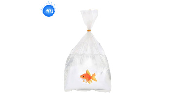 15s transparent plastic fish bag