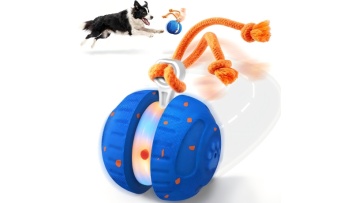 Smart Interactive Rolling Ball - Product Demo