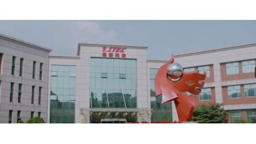 XITAN Technology Comoany Video