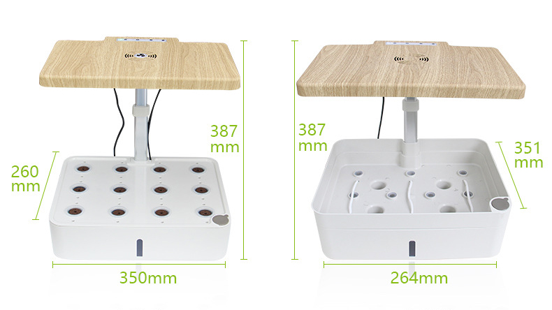 hydroponics 3