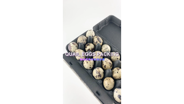 biodegradable paper pulp 18 holes quail egg boxes packaging trays1