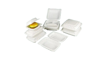 MFPP Bento Box