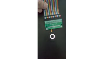 RGB backlight membrane switch