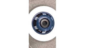 PAUDIO Full Range Subwoofer 15Inch Woofer SD15 dj