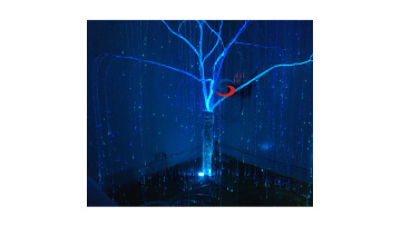 fiber optic lights 