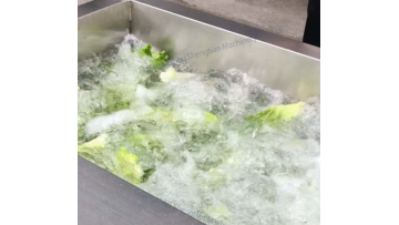 ST-QX2200 Vegetable Washing Machine
