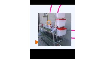 Durable multi tiers H type layer 5 tier 200 birds laying hens metal chicken cage for laying hens in low price1