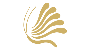 Yiwu Zhencheng Import and Export Co., LTD