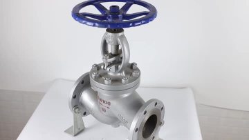 globe valve