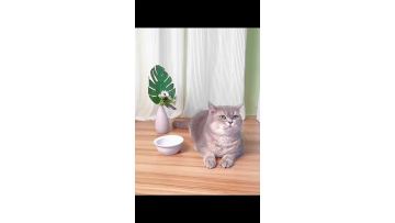 The automatic pet feeder integrates feeding