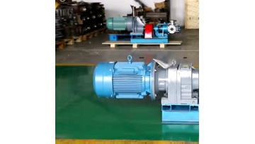 Stainless steel high viscosity internal gear pump rotor pump1