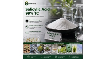 Salicylic Acid 99% TC