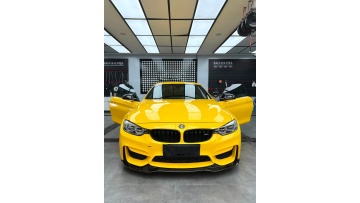 Sunflower Yellow