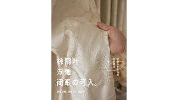 Golden Eedge French Relief Jacquard Curtain