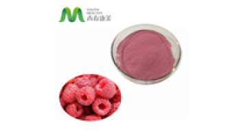OEM Food Grade Bulk Red Freeze Dried Raspberry Powder1