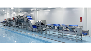 Leafy Veg Production Line