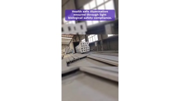Video 66