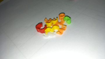 plastic bird & pigeon ring factory1