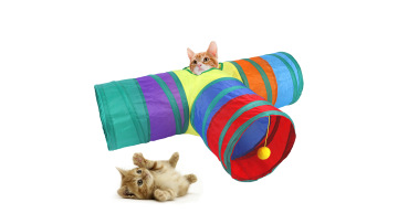 Cat Passageway