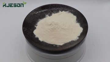  Soy Peptide 