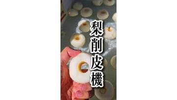 Apple peeling and coring machine peeler