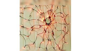 Halloween Spider Web Light