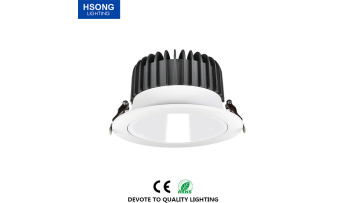Hsong Lighting - HSONG Spot Light COB Ceiling Gold Silver Black White Round Supermarket Indoor Hotel Spot Light LED Downlight1