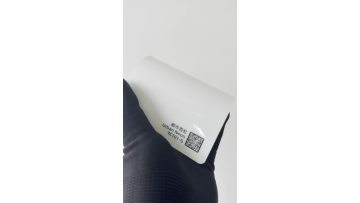 Urban Neon	TC101-G