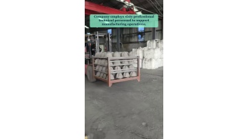 Video 21